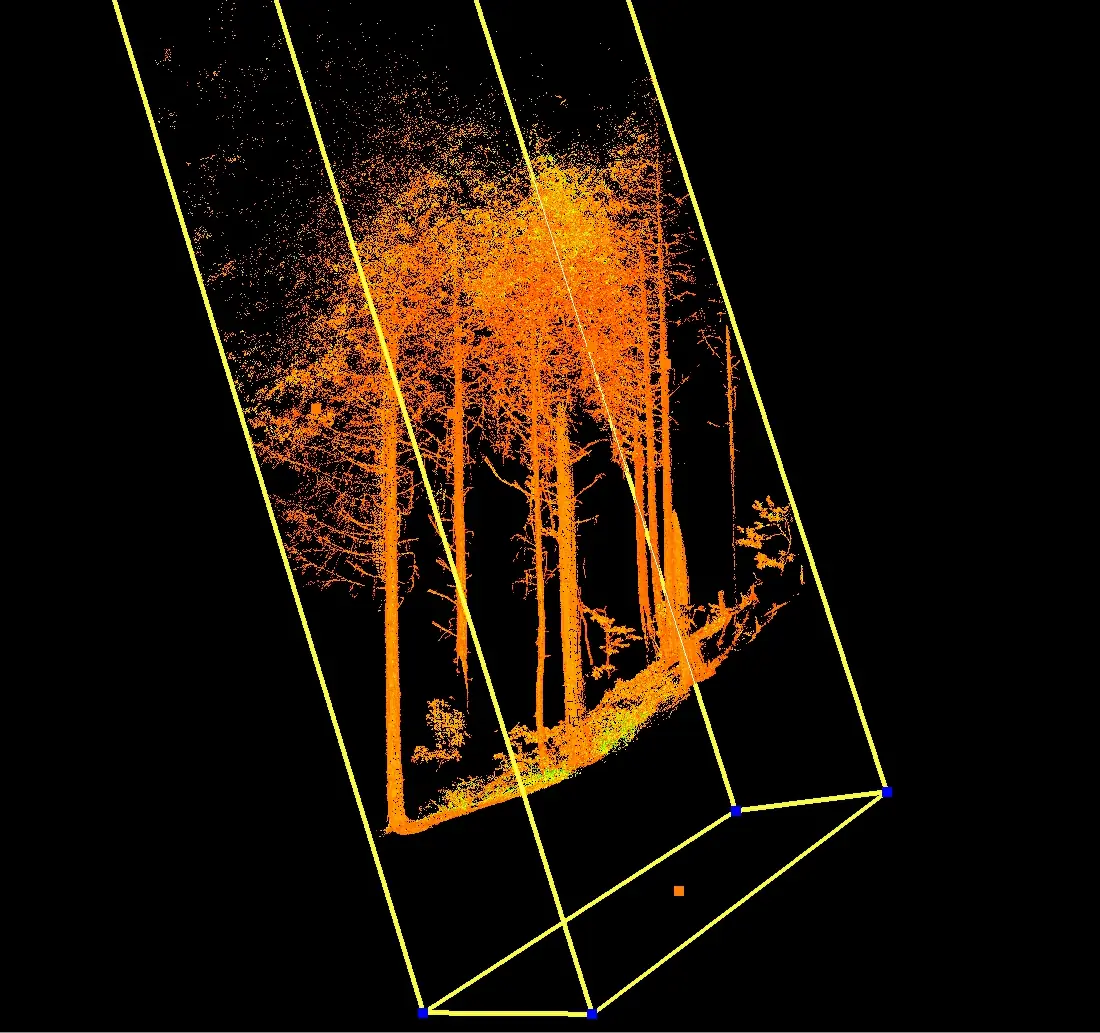 Nuage de points d'un scan laser 3D d'une parcelle forestière à Kawamata : troncs et canopée des cèdres en orange, boîte englobante jaune sur fond noir
