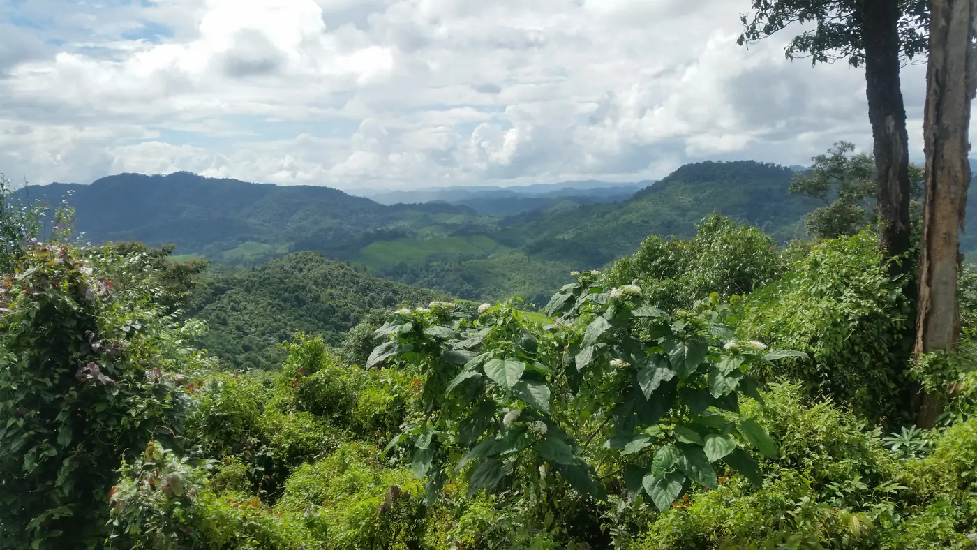 Panorama du bassin versant de la Houay Pano : collines de montagne tropicale couvertes de forêt et de cultures, sous un ciel nuageux, Laos