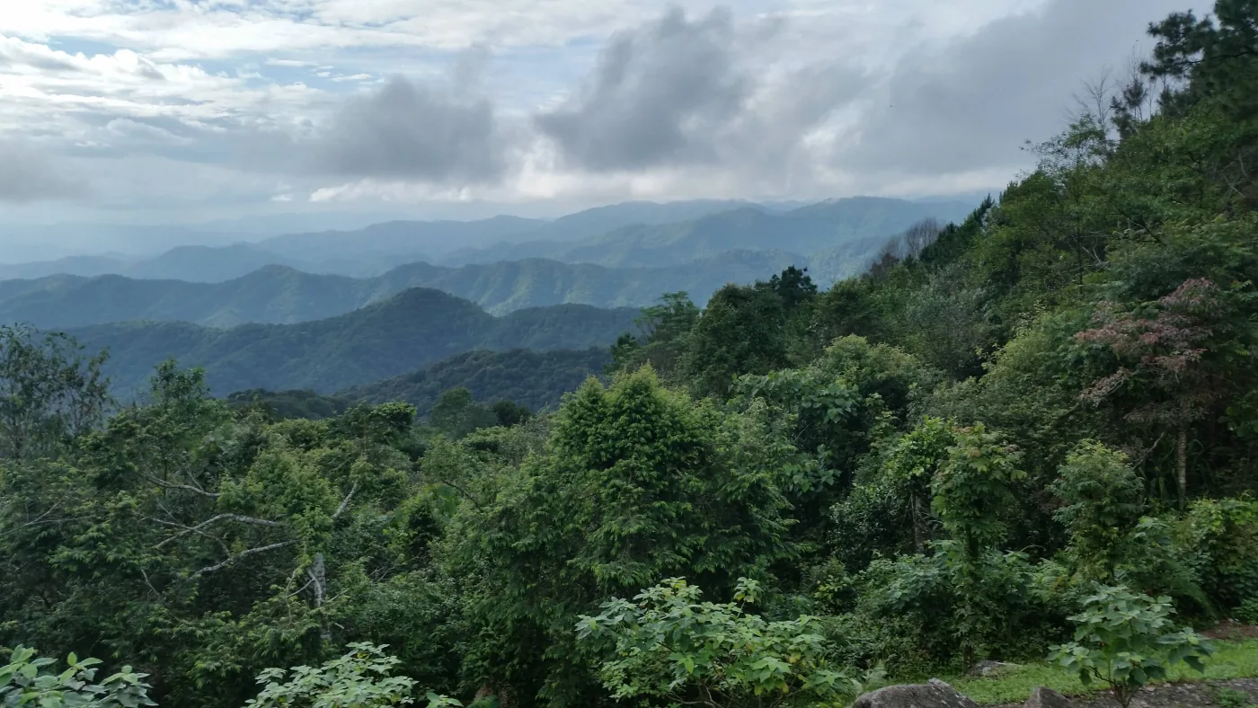 Panorama de collines forestières brumeuses en montagne, région de Chiang Mai, Thaïlande