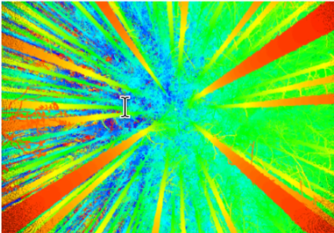 Vue fisheye colorée d'un nuage de points laser 3D pris depuis le sol d'une parcelle forestière, troncs et branches rayonnant vers le ciel